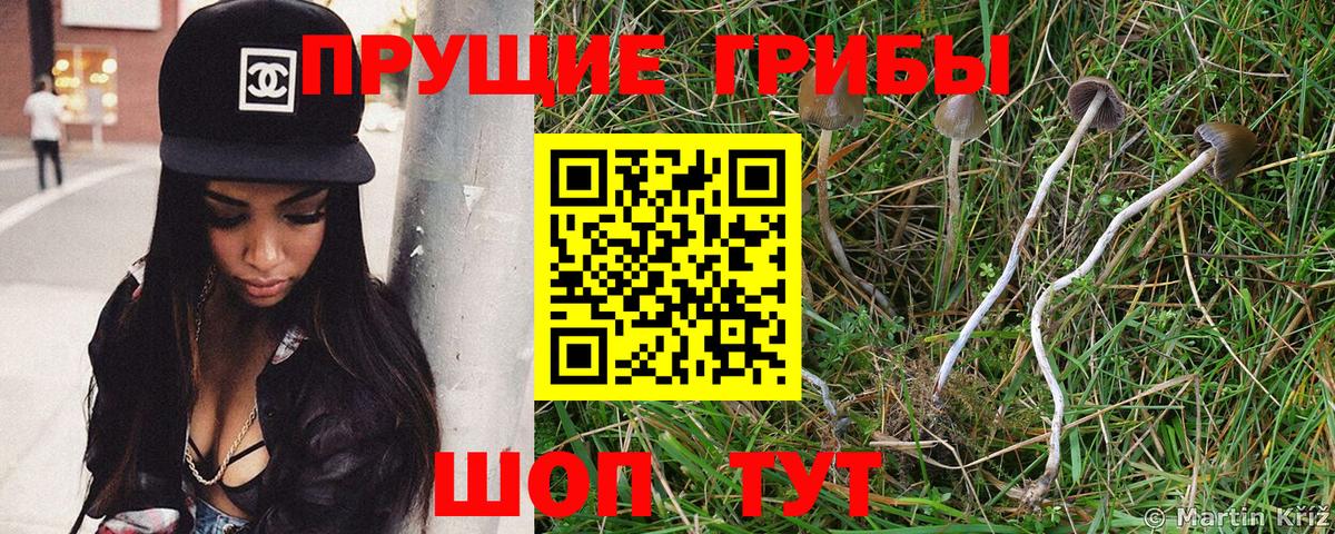 Псилоцибиновые грибы мухоморы Янаул