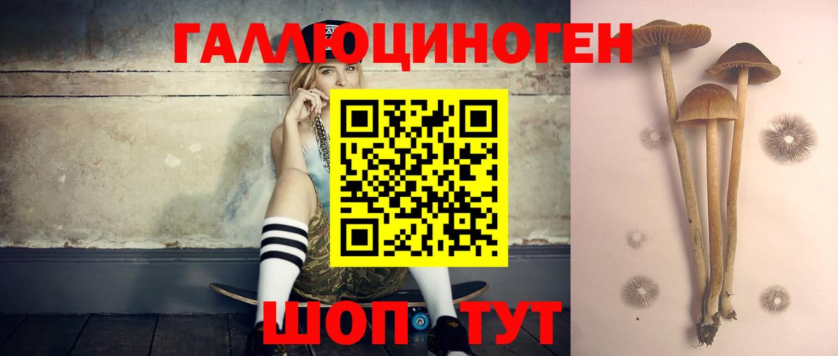 Галлюциногенные грибы мухоморы  Вход с VPN  Янаул 
